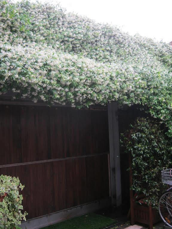 キオッジャ Casa Di Carlo Goldoni - Dimora Storica Bed & Breakfast エクステリア 写真